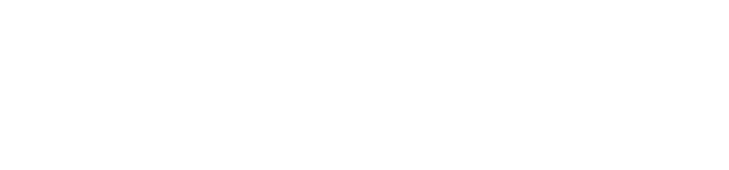 AudioNerds Bilstereo & Montering